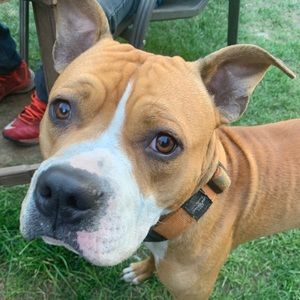 Meet your Posher, Marie-france